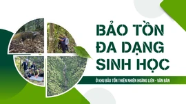 Bảo tồn đa dạng sinh học ở Khu Bảo tồn thiên nhiên Hoàng Liên - Văn Bàn