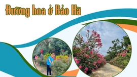 Đường hoa ở Bảo Hà