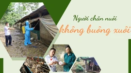 Người chăn nuôi không buông xuôi