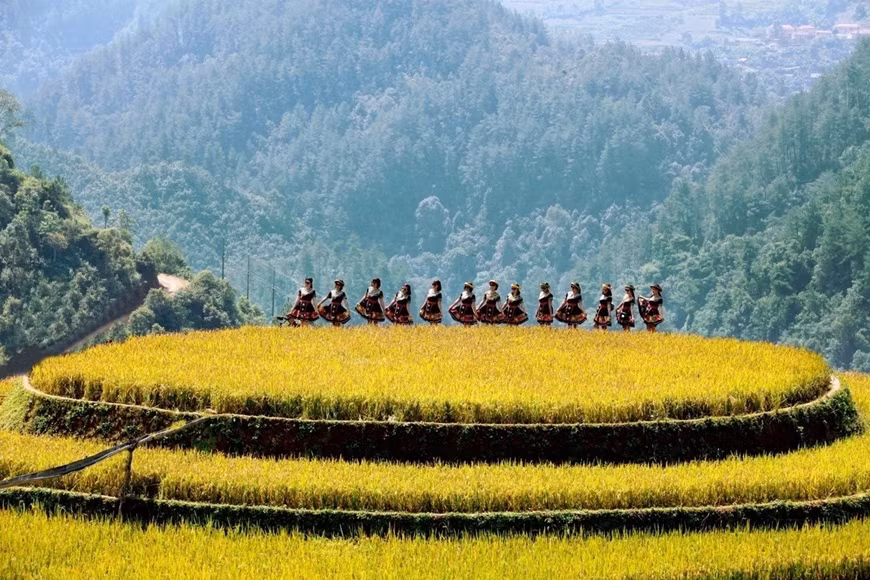 Vẻ đẹp "mùa vàng" Mù Cang Chải.