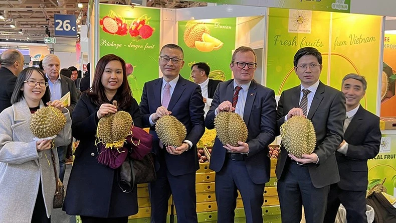 Đẩy mạnh xúc tiến thương mại, tháo gỡ khó khăn cho doanh nghiệp xuất nhập khẩu.