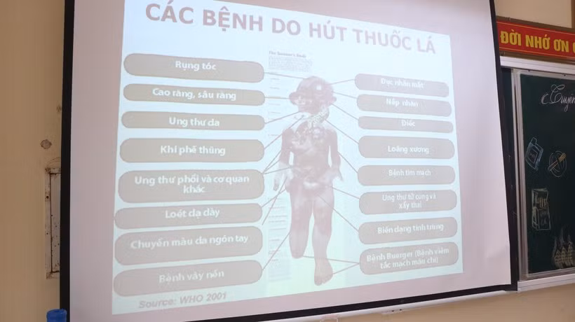 Một số bệnh do hút thuốc lá được Tổ chức Y tế thế giới đưa ra để khuyến cáo tới người dân nên tránh xa khói thuốc lá.
