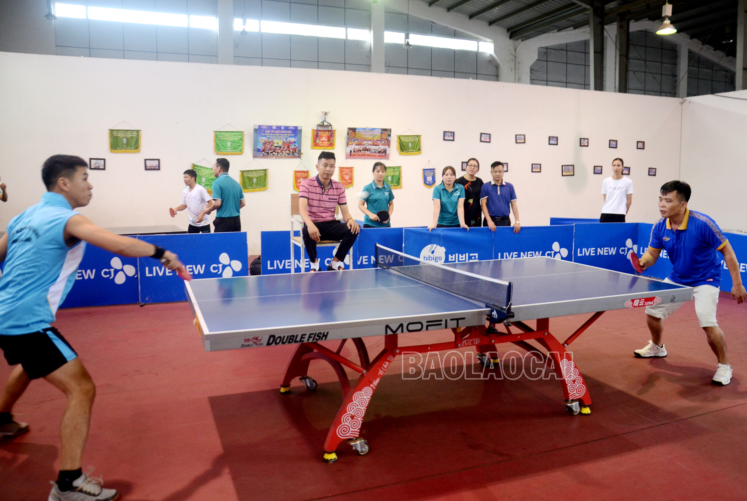 Một pha bóng hay ở nội dung bóng bàn đơn nam. tt5.jpg