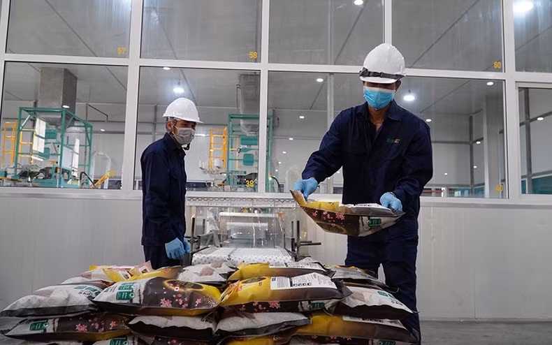 Đóng gói gạo xuất khẩu tại nhà máy Công ty TNHH Lúa gạo Việt Nam, xã Trường Xuân, huyện Tháp Mười, tỉnh Đồng Tháp.