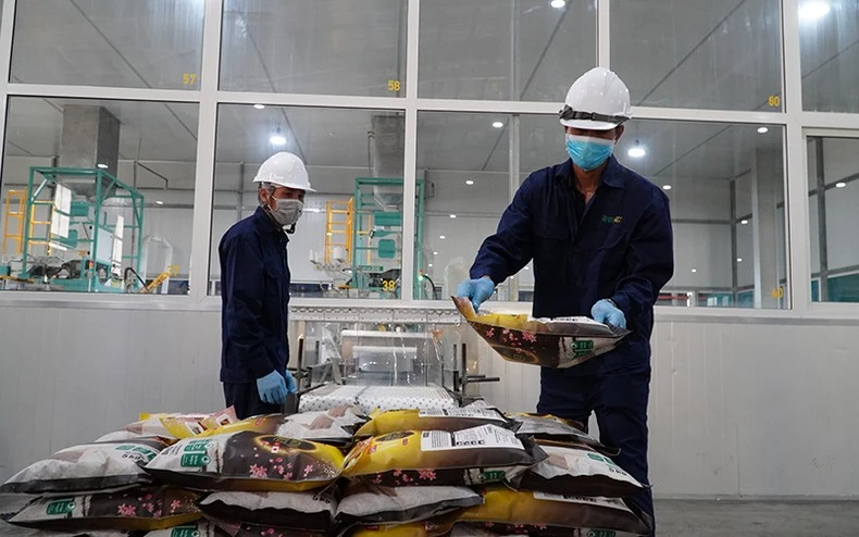 Đóng gói gạo xuất khẩu tại nhà máy Công ty TNHH Lúa gạo Việt Nam, xã Trường Xuân, huyện Tháp Mười, tỉnh Đồng Tháp.