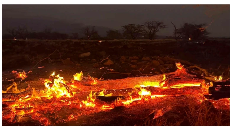 Cháy rừng ở bờ biển phía tây đảo Maui của Hawaii hôm 8/8 kết hợp với gió lớn từ một cơn bão gần đó đã làm ngọn lửa lan khắp các khu vực và "nhấn chìm" thị trấn ven biển Lahaina trong hỏa hoạn.