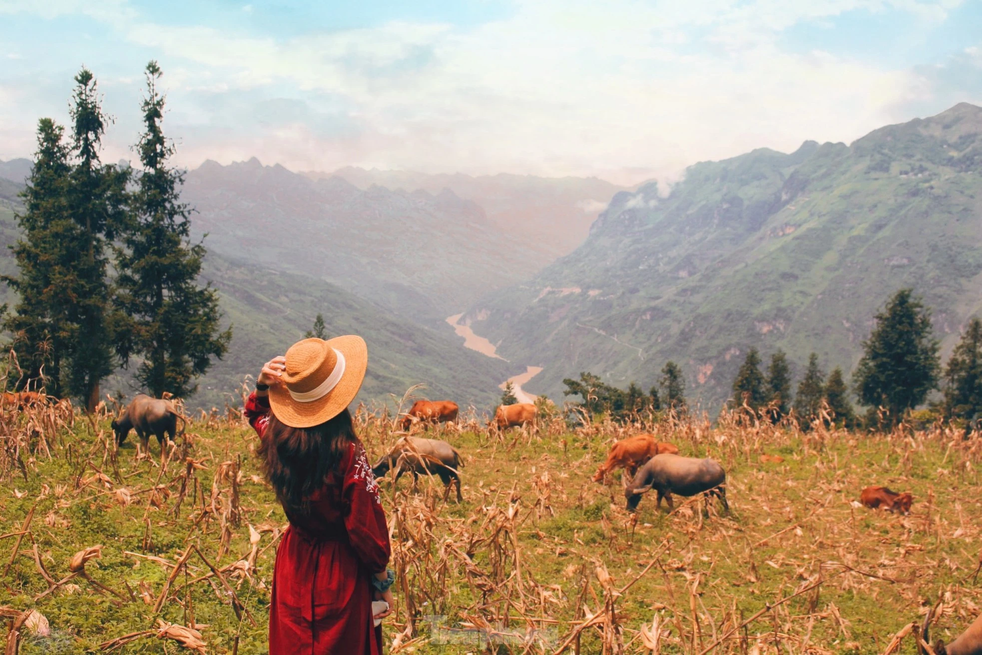 Bên cạnh thảo nguyên Suối Thầu, du khách có thể kết hợp trải nghiệm một số cung đường với các danh lam, thắng cảnh nổi tiếng ở Xín Mần như: Hang Thiên Thủy (Nàn Ma), Thác Tiên - Đèo Gió (Nấm Dẩn), suối khoáng nóng Nậm Choong (Quảng Nguyên)…