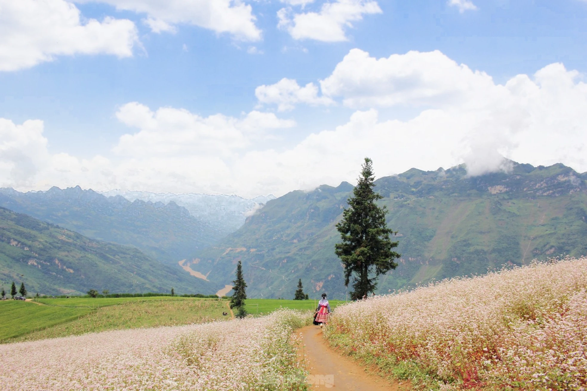 Những năm gần đây, Suối Thầu được biết đến là một trong những thảo nguyên đẹp bậc nhất Việt Nam, có diện tích hơn 90 ha, nằm ở độ cao hơn 1.200 m so với mực nước biển, mang vẻ đẹp hoang sơ mà hùng vĩ của vùng đất địa đầu Tổ quốc.