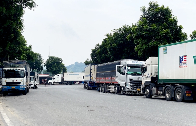 Phương tiện vận chuyển hàng hóa tập kết tại Cửa khẩu quốc tế đường bộ số 2 Kim Thành. 66-8264.jpg