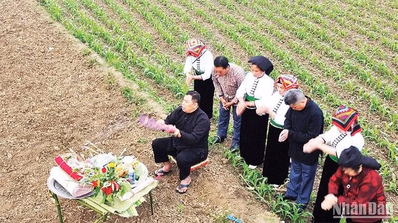 Lễ hội cầu mưa của người Thái trắng, xã Mường Sang, huyện Mộc Châu, tỉnh Sơn La.