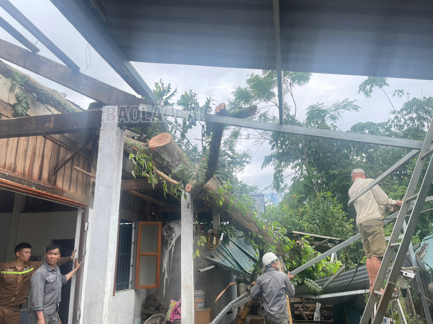 Các lực lượng và người dân tập trung khắc phục hậu quả mưa dông. IMG-9326.jpg