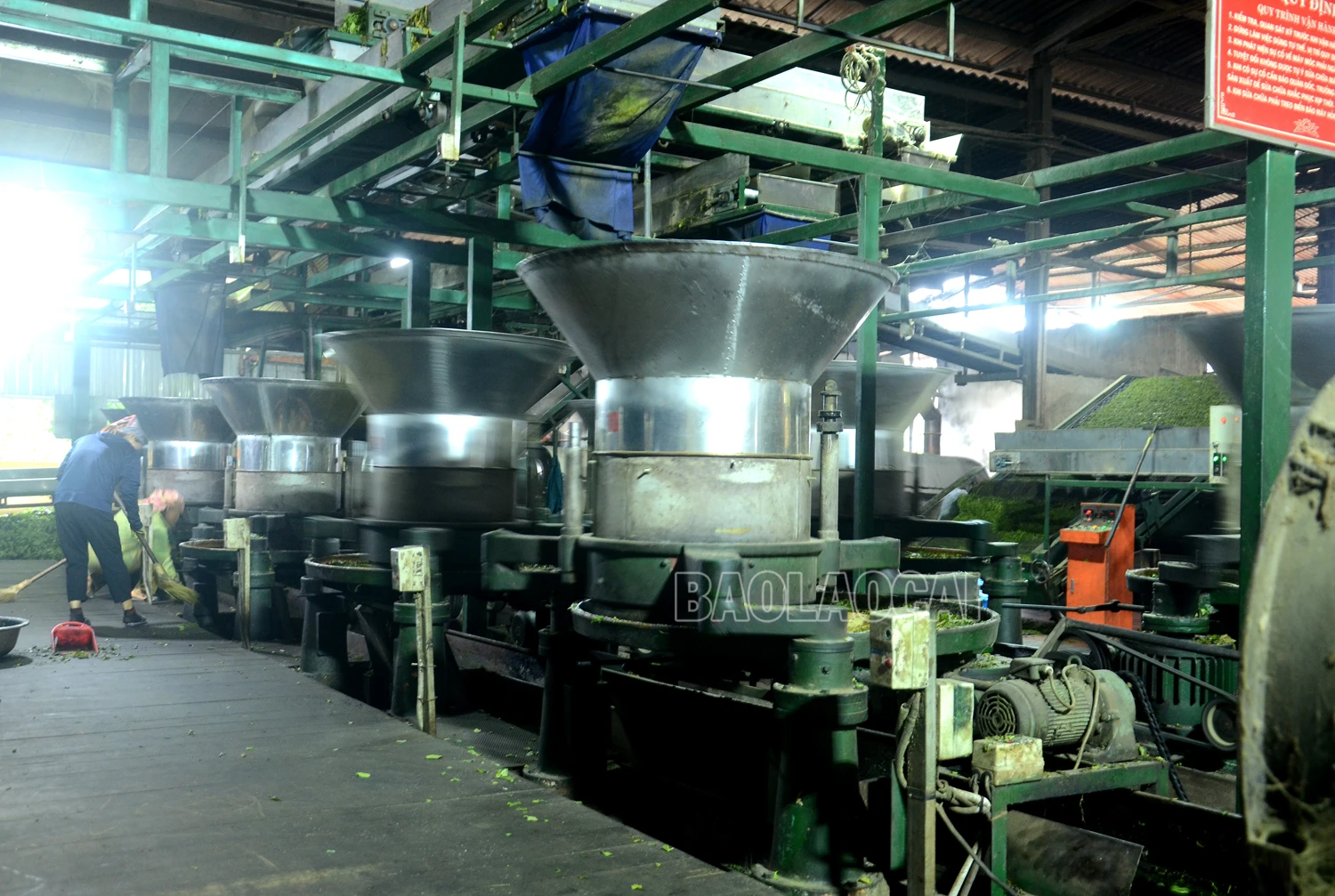 thieu nguyen lieu.jpg