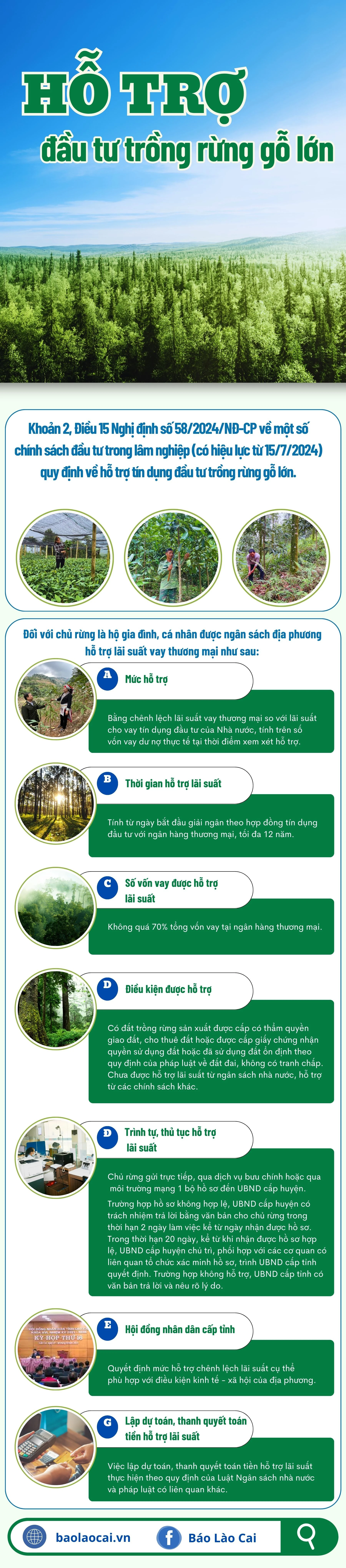 Hỗ trợ trồng rừng 0.jpg