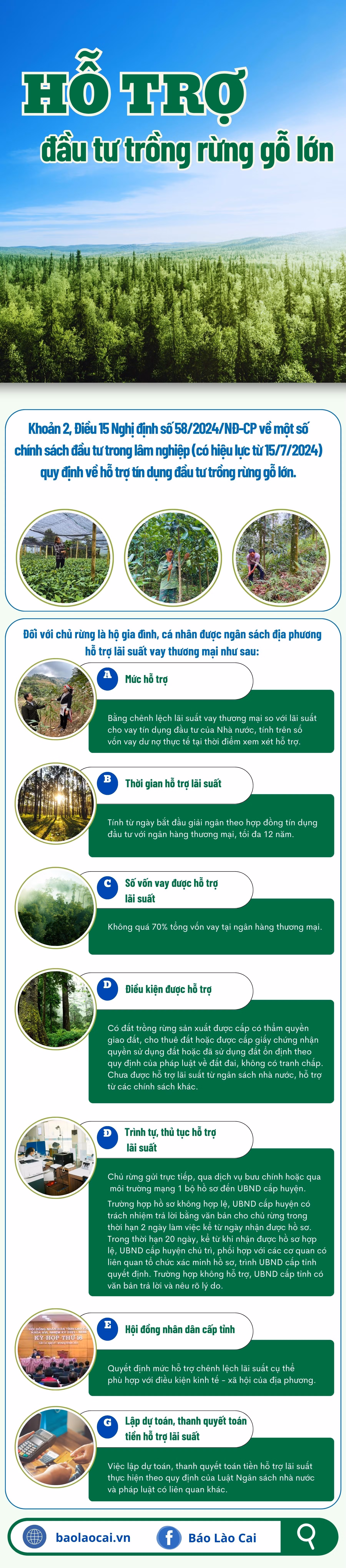 Hỗ trợ trồng rừng 0.jpg