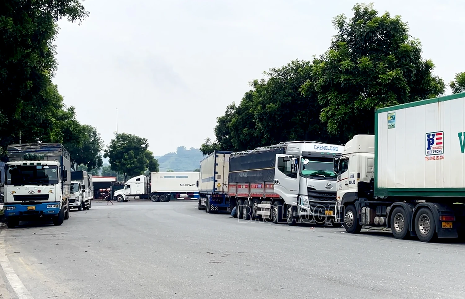 66.jpg