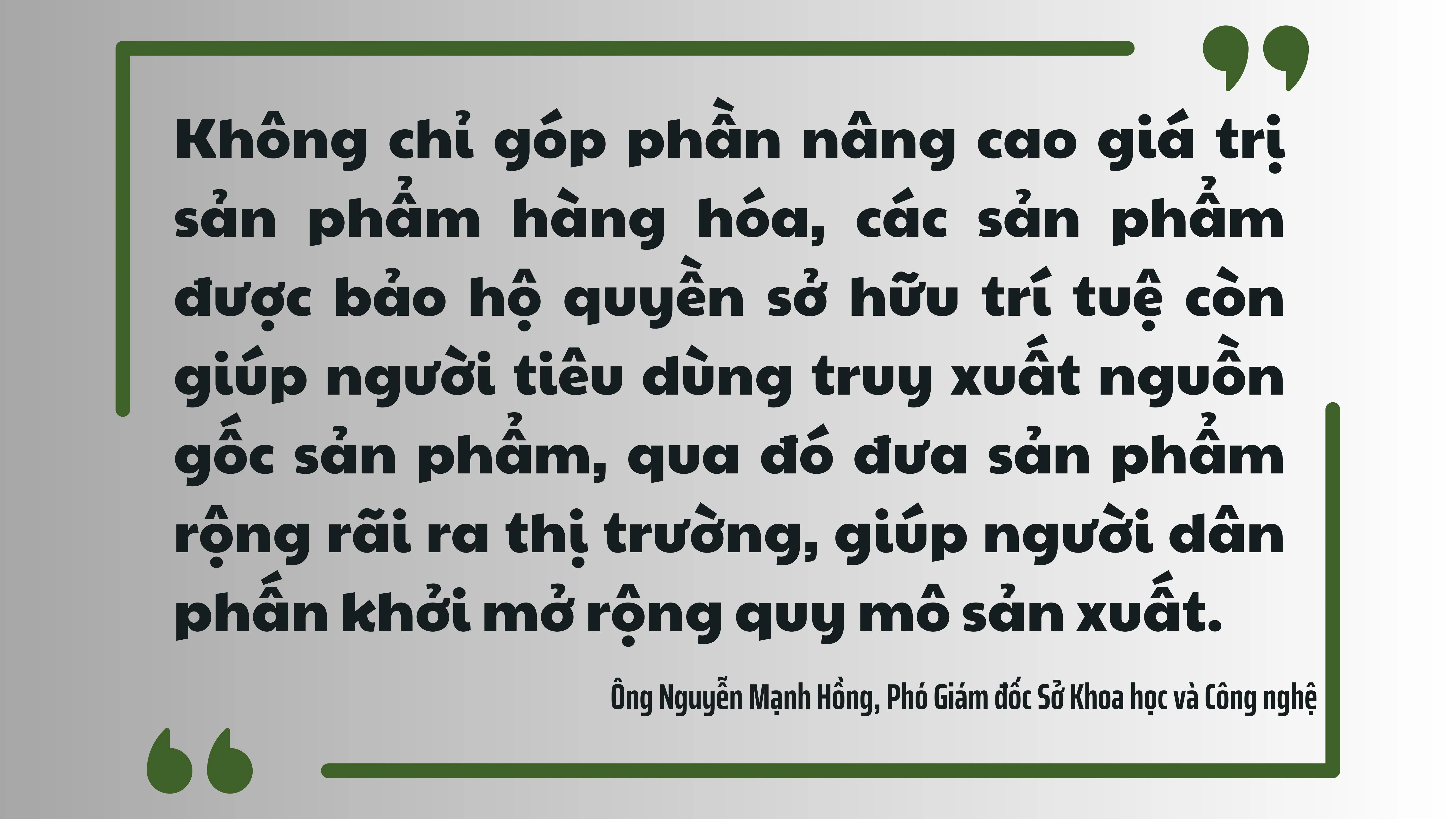 Sở hữu trí tuệ.jpg