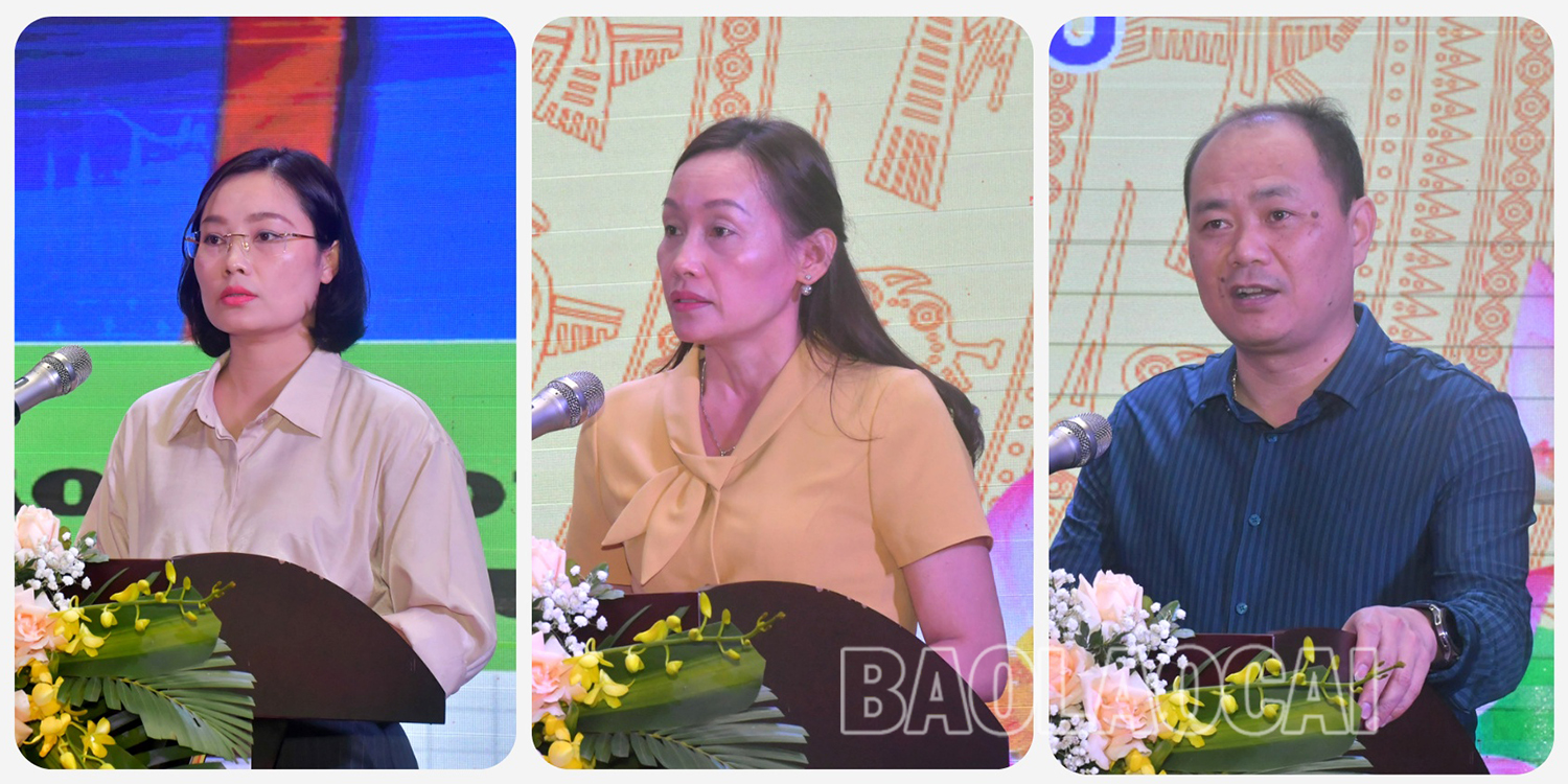 Đại biểu các tỉnh, thành phố tham luận triển khai phong trào thi đua. td 4.jpg