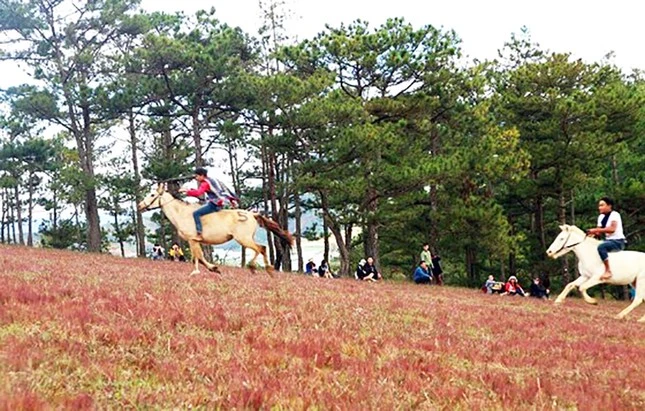 Đua ngựa không yên là môn thể thao truyền thống ưa thích của các chàng trai K'Ho.