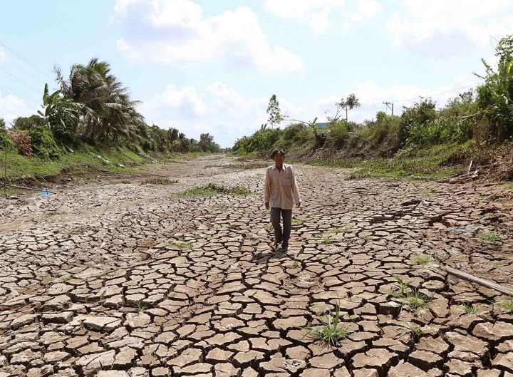 Hạn mặn khốc liệt chưa từng có trong lịch sử đang xảy ra ở tỉnh Tiền Giang (Việt Nam).