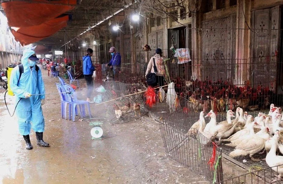 Phun thuốc khử trùng phòng, chống dịch bệnh cúm gia cầm tại chợ gia cầm Hà Vỹ (huyện Thường Tín).