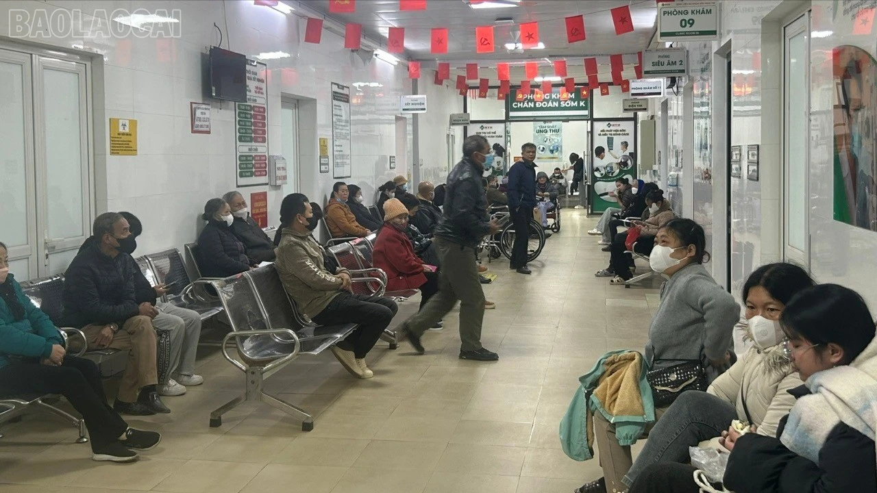 baolaocai-tl_fbb4211047e8c8b691f9-3395.jpg