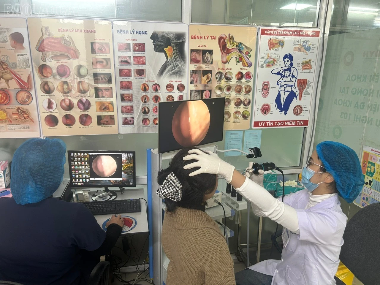 baolaocai-tl_89723a615c99d3c78a88.jpg