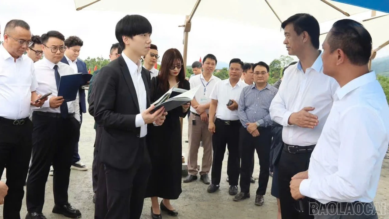baolaocai-br_2aobor3kmwhk6c0sph3uir4vsl2rlbhbvu40feje-6051.jpg