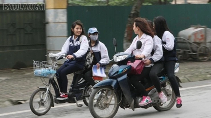 baolaocai-tl_1010d135e401655f3c10-1795.jpg