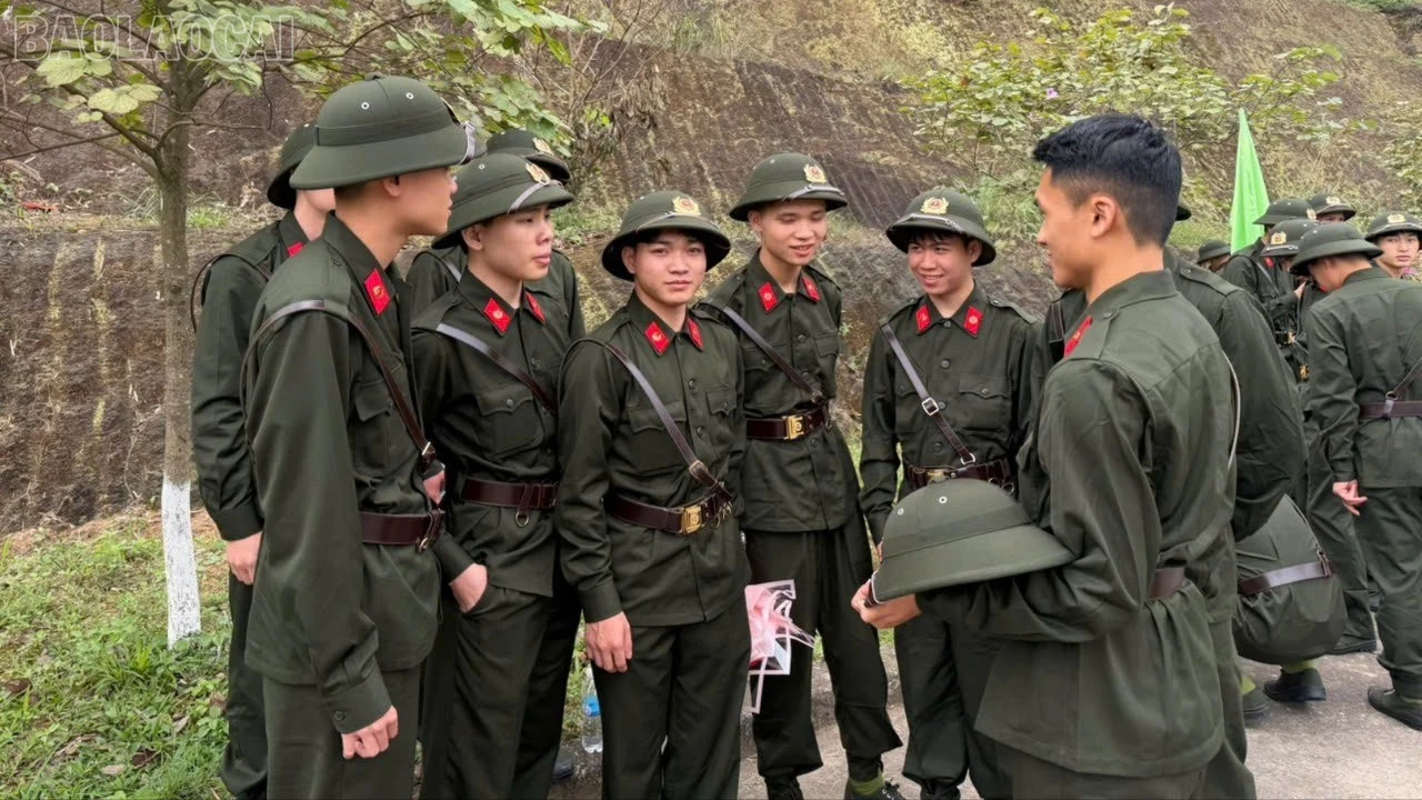 baolaocai-tl_tl-3630599469926283963.jpg
