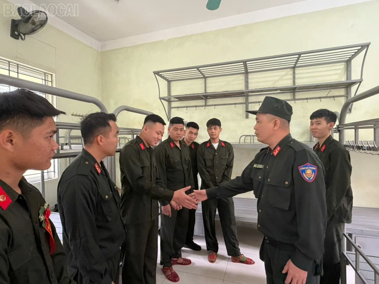 baolaocai-tl_1563348730205493260.jpg