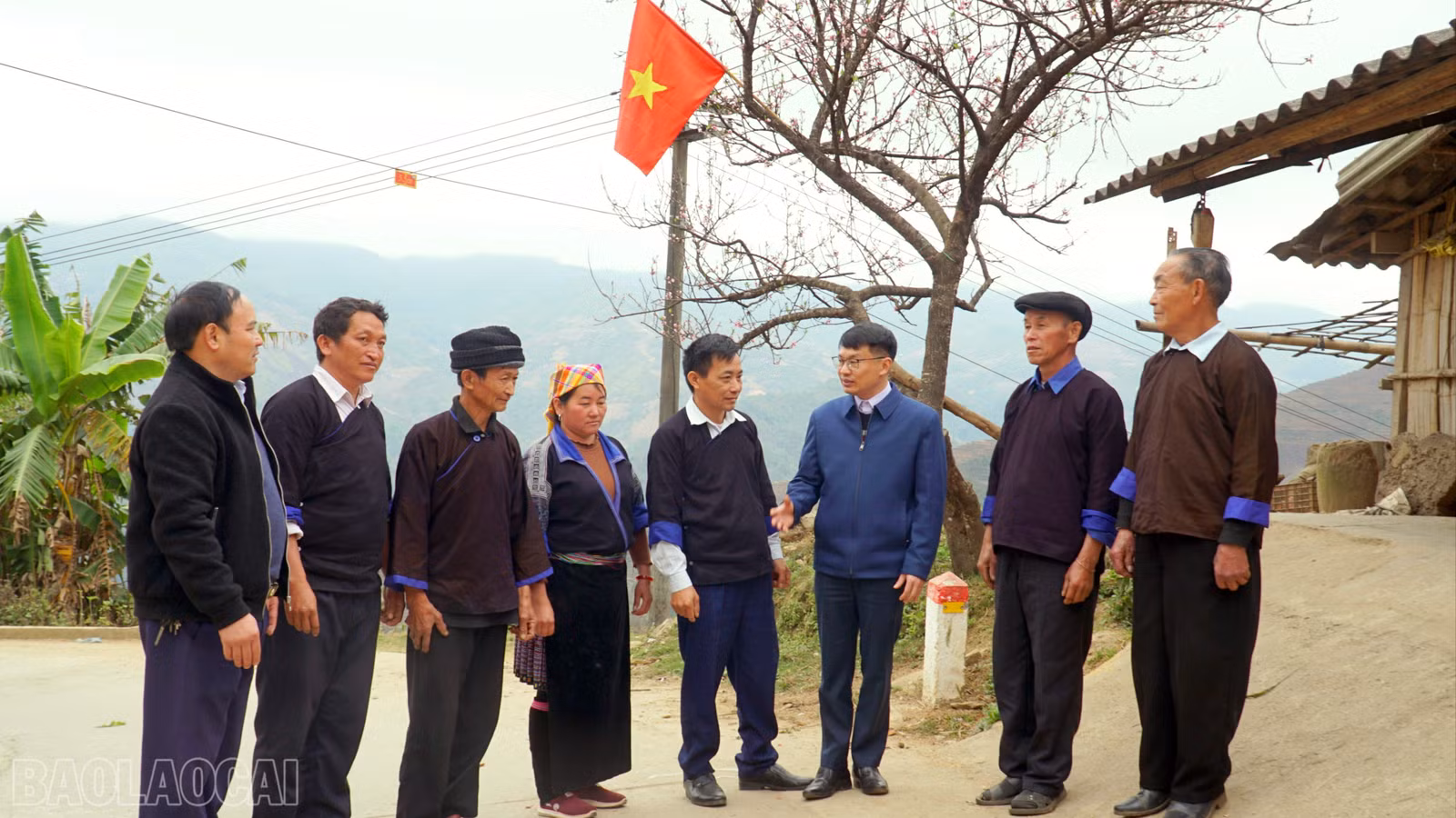 baolaocai-bl_image-7-5883.jpg