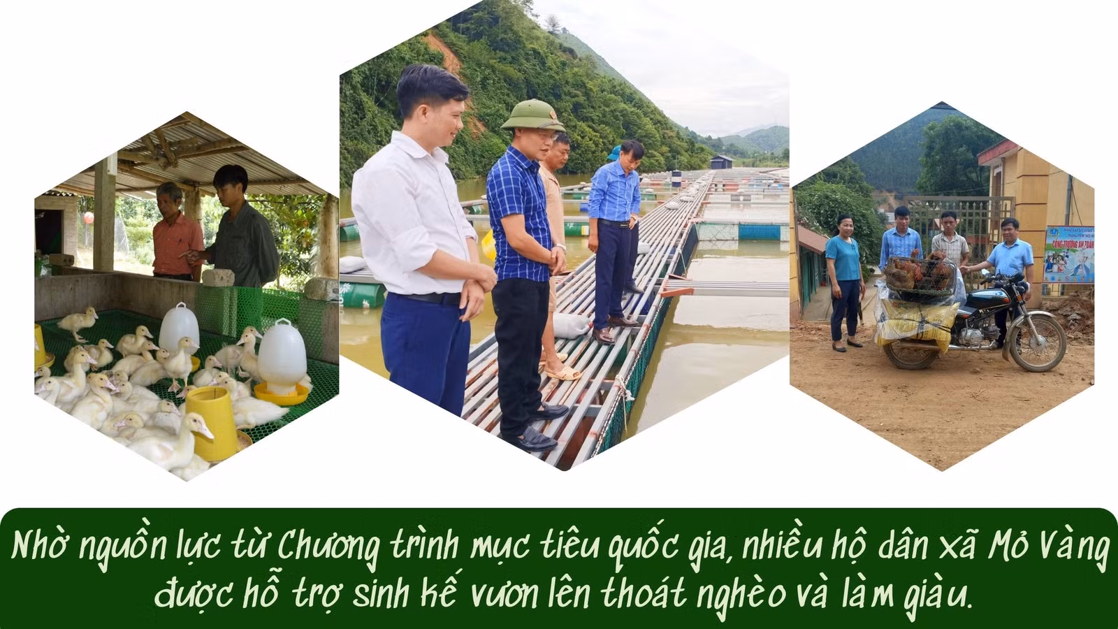 doi-thay-7.jpg