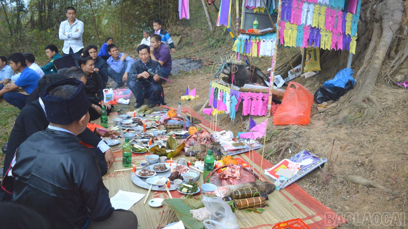 baolaocai-br_dsc-0546-8925.jpg