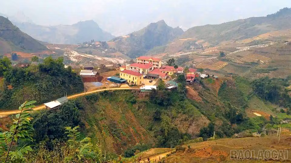 baolaocai-br_514998470-122103028898928141-7068697128831180203-n-9107.jpg