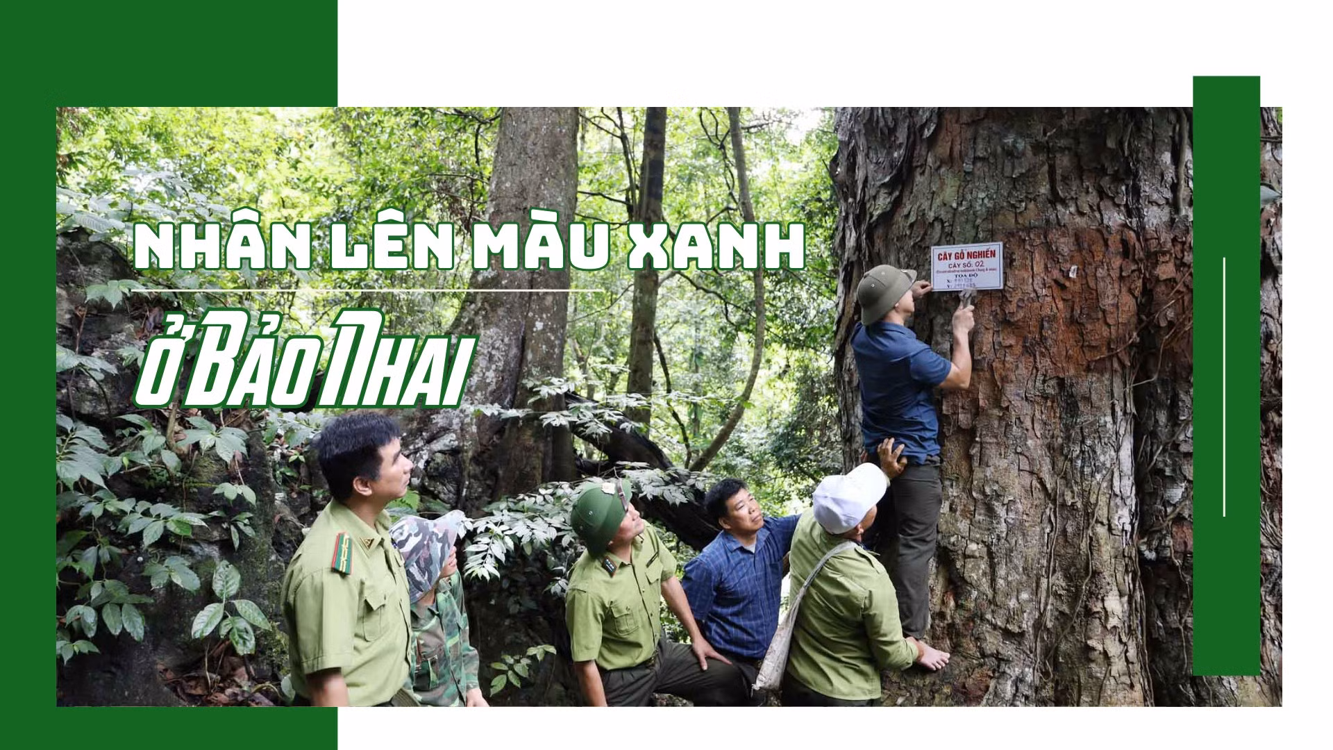 Nhân lên màu xanh ở Bảo Nhai