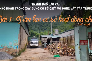 Bài 1: Tràn lan cơ sở hoạt động chui