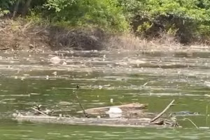 "Túi rác" trên sông Chảy