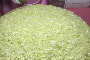 Thực hư về gạo Séng cù xanh gây sốt trên thị trường