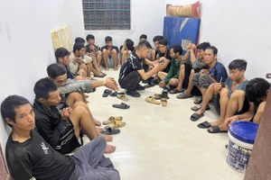 Lào Cai: Bắt giữ 1 xe ô tô chở 19 nam giới nghiện ma tuý