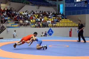 Gần 500 vận động viên tham dự Giải Vô địch các lứa tuổi trẻ vật cổ điển, vật tự do quốc gia năm 2024