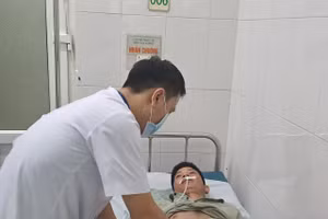 Mẫu nấm gây ngộ độc tại huyện Văn Bàn dương tính với độc tố Psilocin