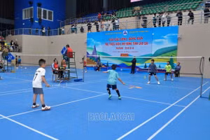 Hơn 500 vận động viên tham gia Giải cầu lông - bóng bàn trẻ, thiếu niên, nhi đồng tỉnh Lào Cai năm 2024