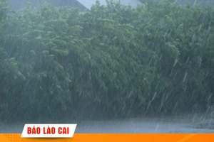 Đề phòng lũ quét, sạt lở đất khu vực vùng núi