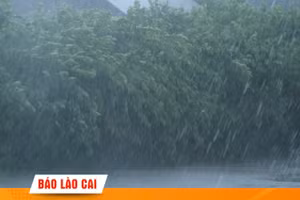 Đề phòng lũ quét, sạt lở đất khu vực vùng núi