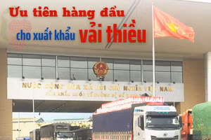 Ưu tiên hàng đầu cho xuất khẩu vải thiều