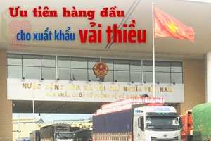 Ưu tiên hàng đầu cho xuất khẩu vải thiều