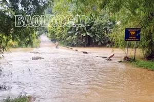 Mưa lớn gây ngập úng cục bộ tại nhiều địa phương trong tỉnh
