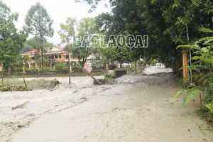 Sự cố bục cống xả tràn hồ thải đuôi quặng Nhà máy tuyển quặng đồng Tả Phời