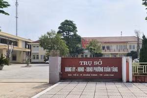 Đình chỉ việc thi hành kỷ luật Bí thư Đảng ủy phường Xuân Tăng