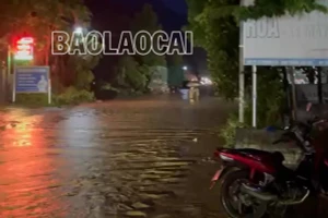 Mưa lớn, Quốc lộ 70 đoạn qua thị trấn Nông trường Phong Hải ngập nặng